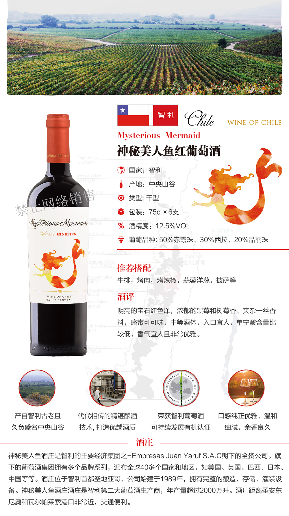 美人魚2.jpg 美人魚2.jpg